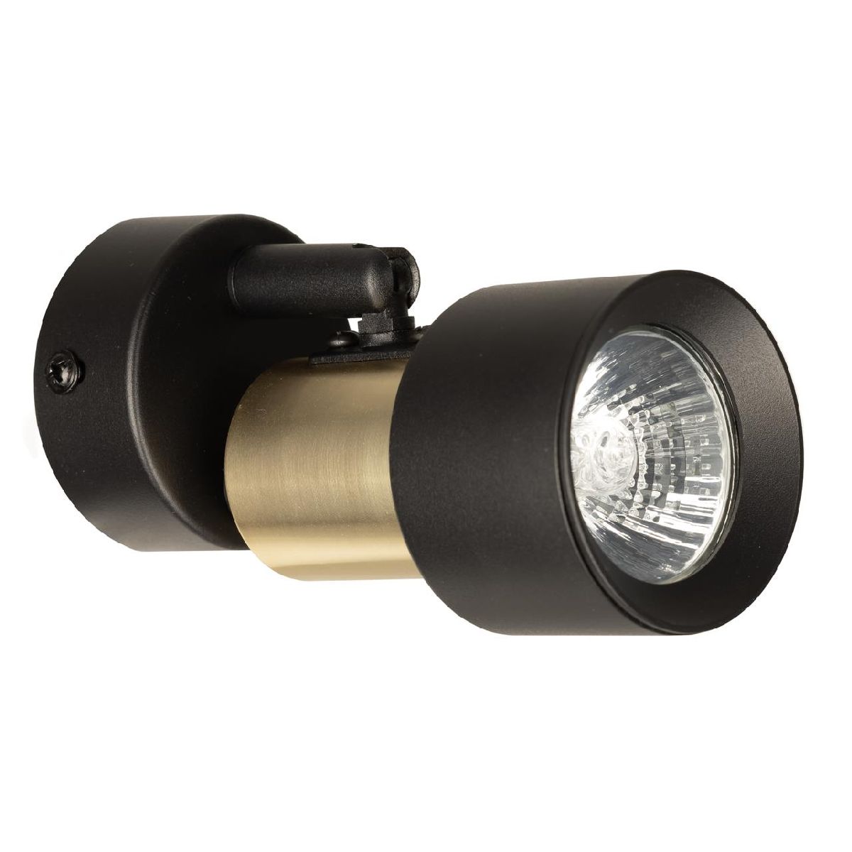 спот citilux sat cl505611