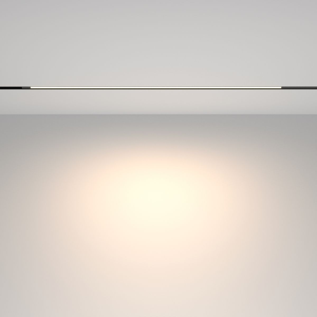 трековый магнитный светильник maytoni technical basis tr231-2-15w4k-b