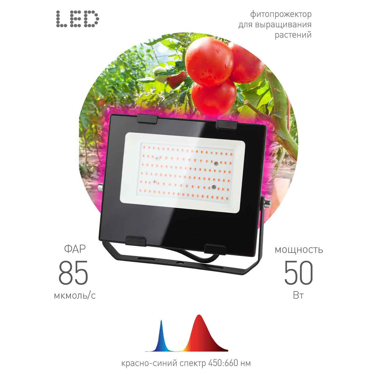 фитопрожектор для растений эра fito-50w-rb-led б0046368