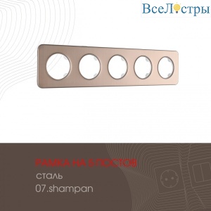 502.07-5.shampan