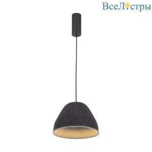 V11098-PL