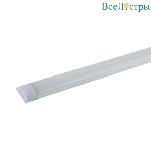 Б0032481