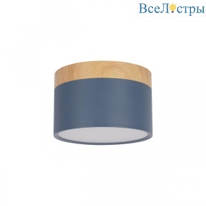 10162 Blue