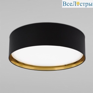 3432 Bilbao Black Gold