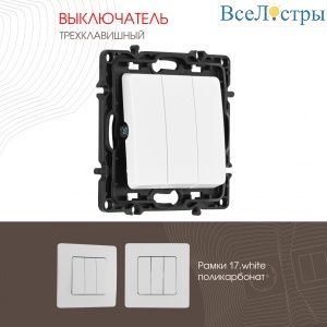 217.30-3.white