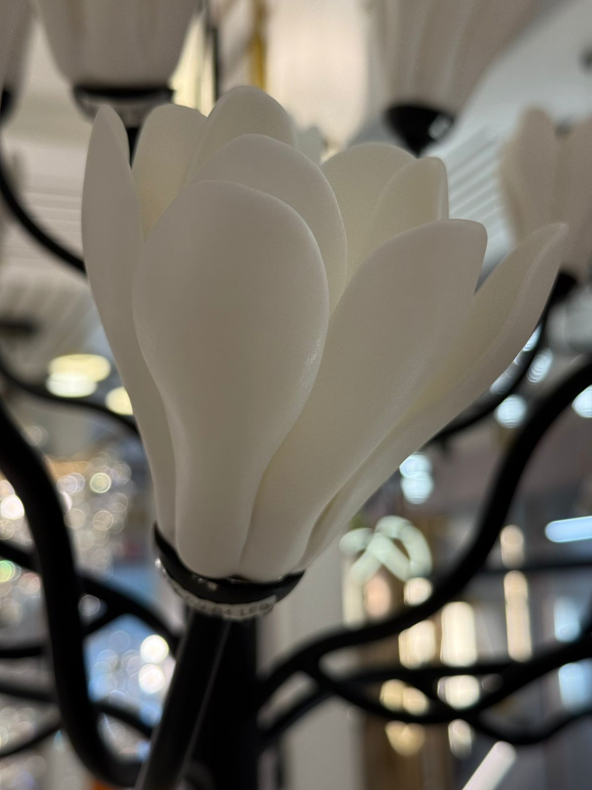 настольная лампа odeon light gardi modern 5090/6t
