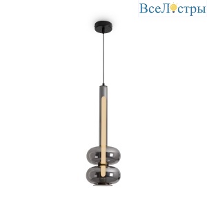 FR6187PL-L9SM1
