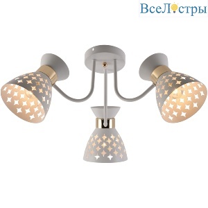 01579-3.3-03 WH+FGD