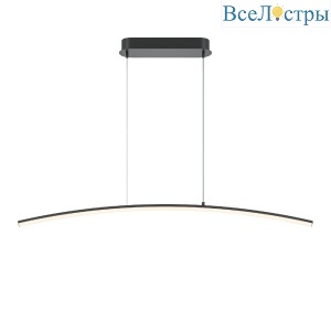 Подвесной светильник Maytoni Light Reflection MOD243PL-L18BK