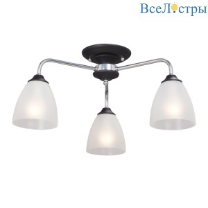 V3946-1/3PL