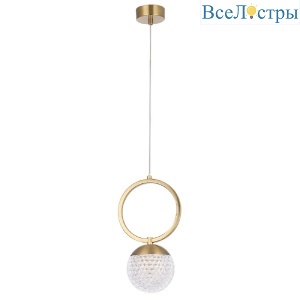 Carolina SP1 V1 BRASS