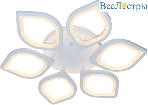 10216/6LED 92W