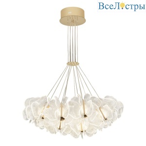 ML.6222.900 CP