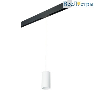 PRORP6486