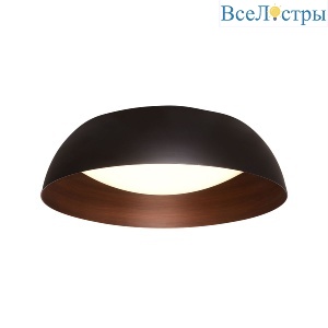 C019-400B black/copper