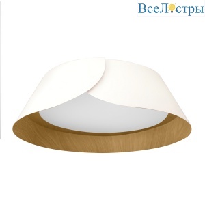 10370 White