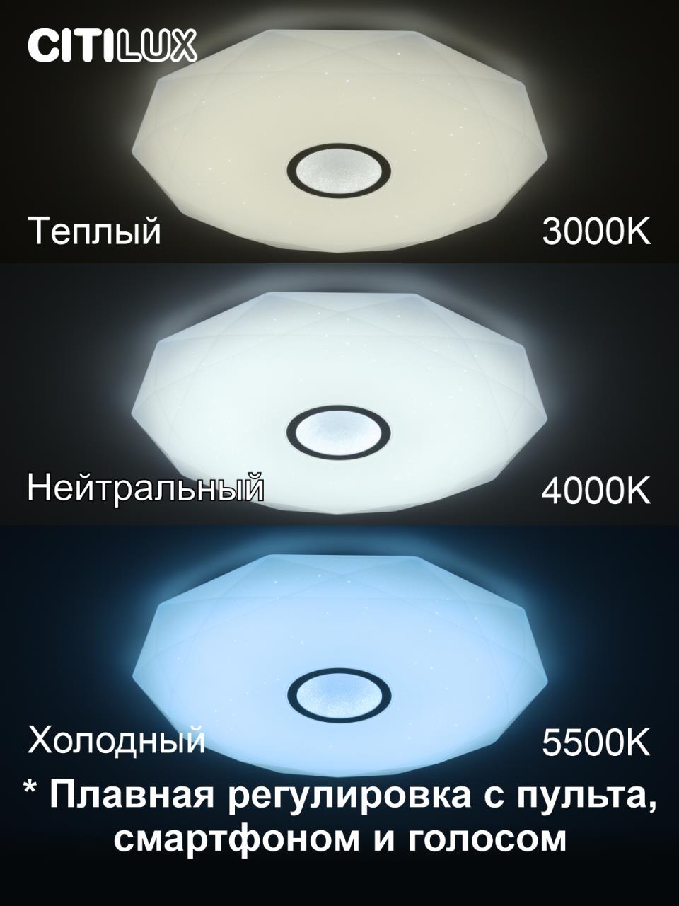 накладной светильник citilux cl713a100g