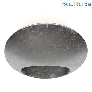 ZD8152-6W Silver