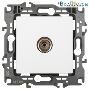 Б0065711