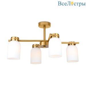 FR5446PL-04BS1