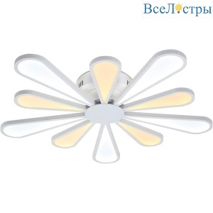 Miracoli 202.10 LED