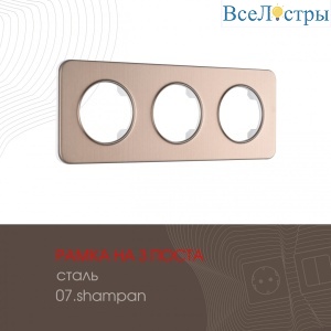 502.07-3.shampan
