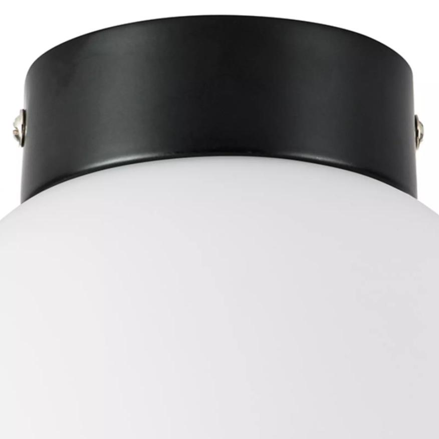 настенно-потолочный светильник lightstar globo 812017