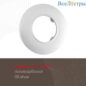 502.08-1.silver