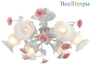 Fiori Di Rose 114.6