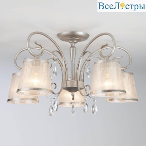 60065/5 серебро