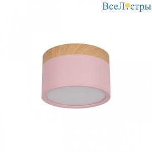 10162 Pink