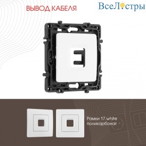 217.49-1.white