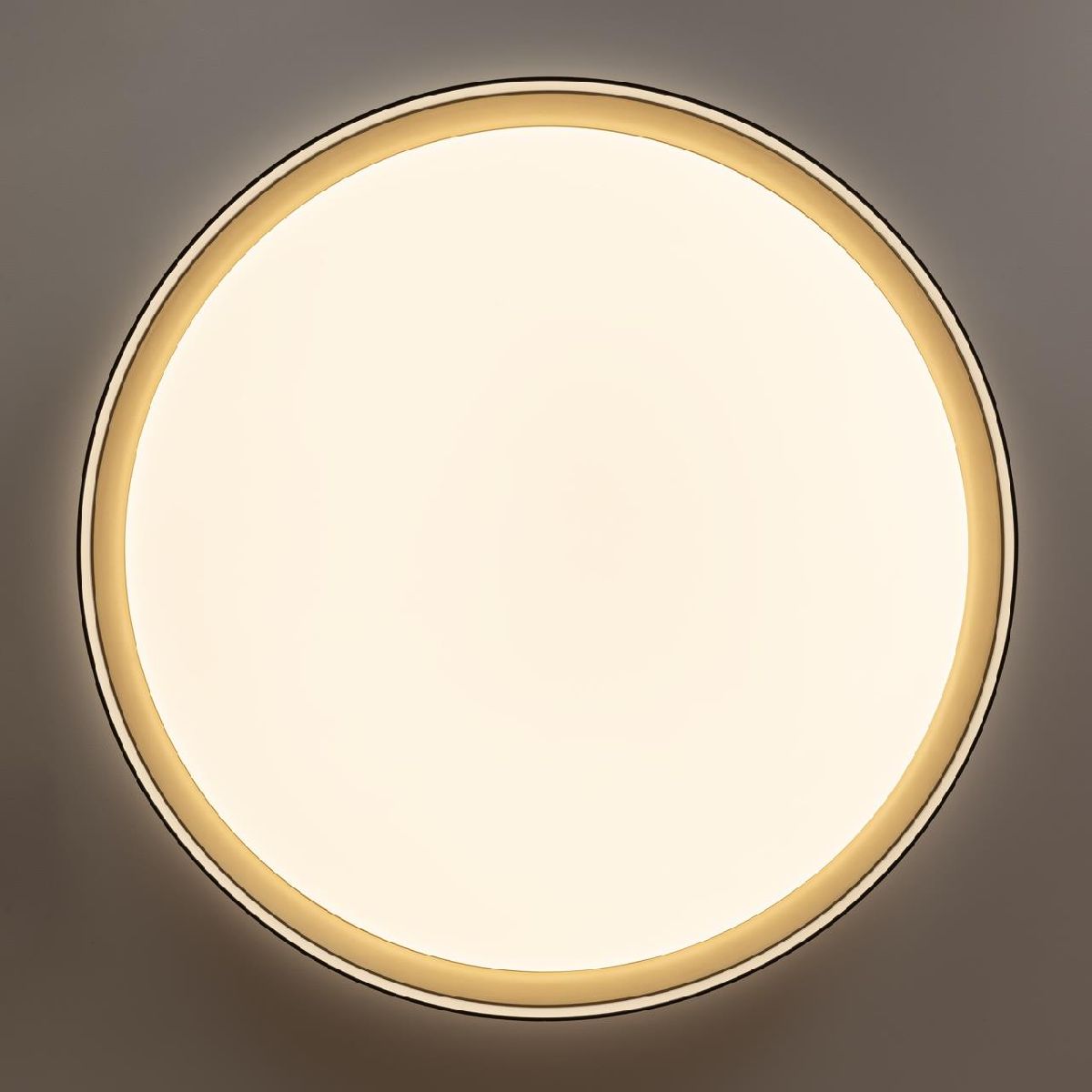 потолочный светильник citilux boss cl751451g