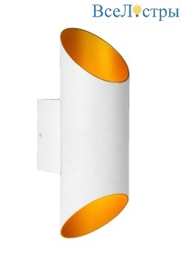 09233/01/31