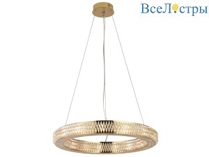 8560/60 C gold polished