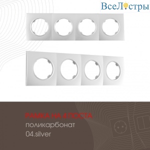 502.04-4.silver