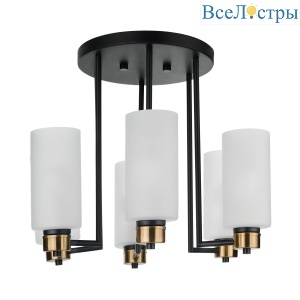 CHN900.06.BL17.ASB-S16WH