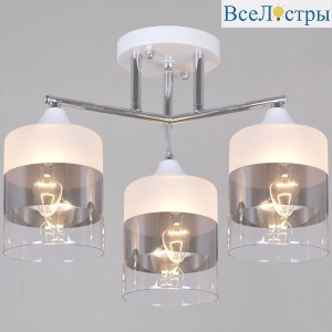06916-0.3-03 WH+CR