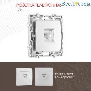 217.51-1.silver