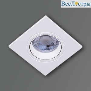 81110-9.0-001 LED5W WT