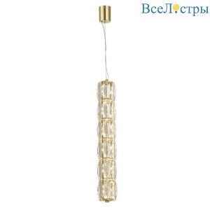 8251/S gold new