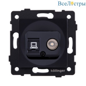 REA-012BK