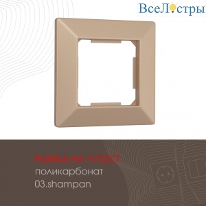 503.03-1.shampan