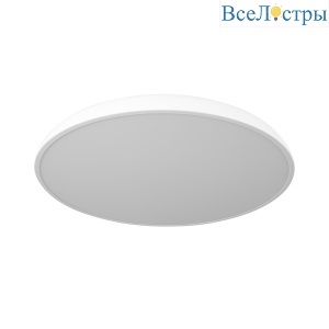 10371 White
