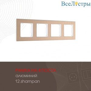 503.12-4.shampan