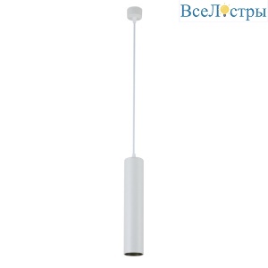 2049-LED10PLW