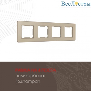 502.16-4.shampan