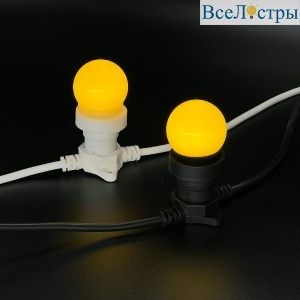 LAMP1-2Y