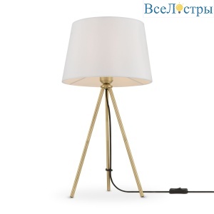 FR5118TL-01BS