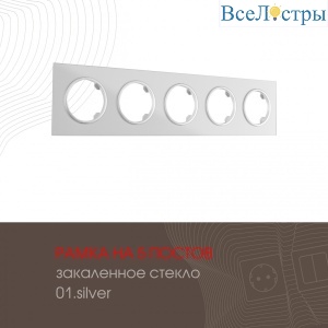 502.01-5.silver